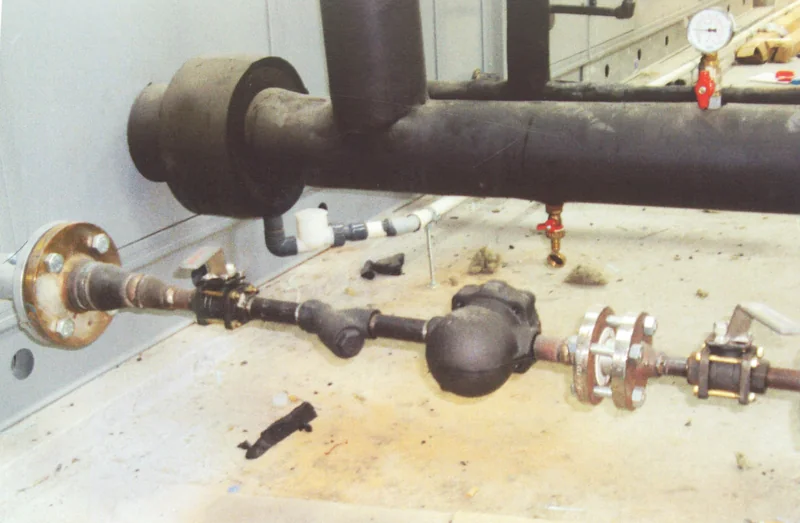 Filter and steam trap